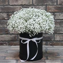 Цветочная композиция из Гипсофила в шляпной коробке #REPLACE_PRED# Магистральном